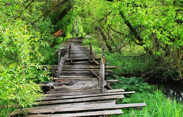 Eğer tahta köprüden yürüyerek kırık tehlikeli
