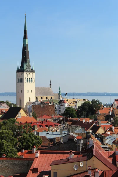 Gamla tallinn — Stockfoto