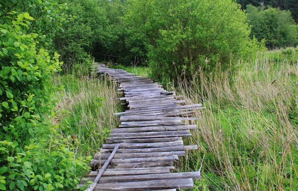 Pont en bois dangereux — Photo