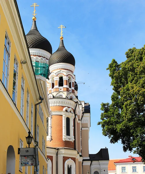 Katedra Aleksandra Newskiego — Zdjęcie stockowe