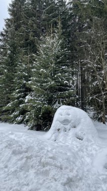 Ormandaki taşın masalı
