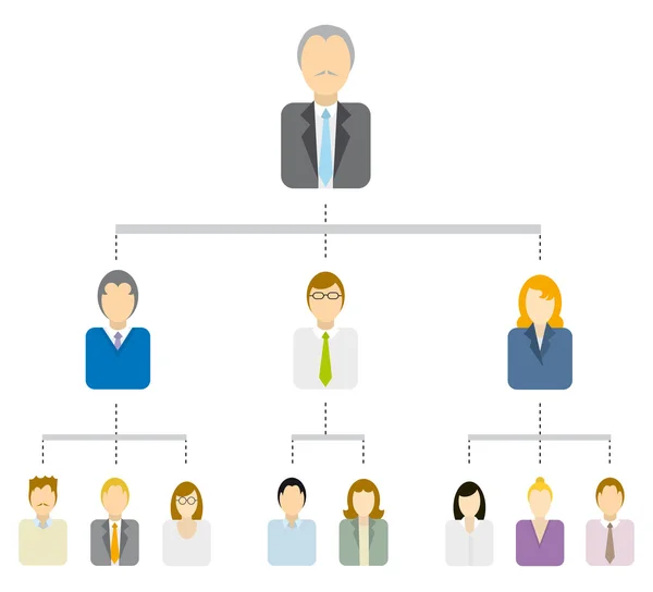Diagrama de árvore hierárquica ou estrutura de negócios —  Vetores de Stock
