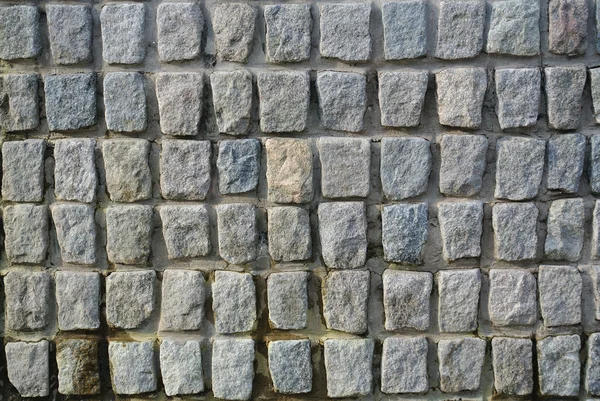 舗装石壁の背景 — ストック写真