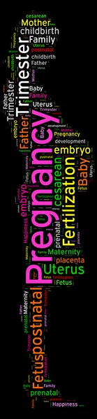 Hamilelik bir kelime bulutu