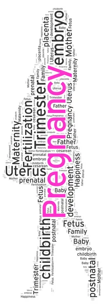 Word cloud of Pregnancy — Stock Photo, Image