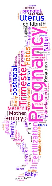 Word cloud of Pregnancy — Stock Photo, Image