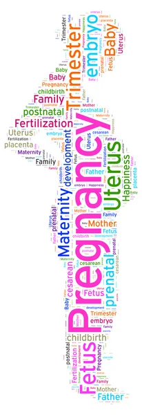 Word cloud of Pregnancy — Stock Photo, Image