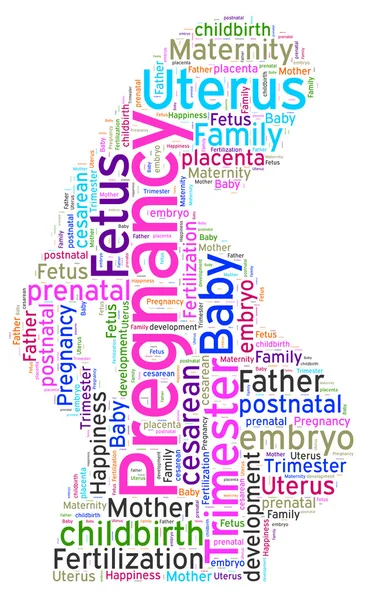 Word cloud of Pregnancy — Stock Photo, Image