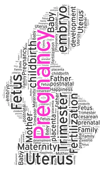 Word cloud of Pregnancy — Stock Photo, Image