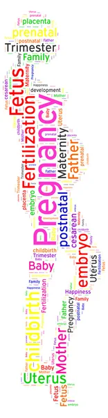 Word cloud of Pregnancy — Stock Photo, Image