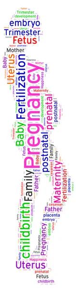 Word cloud of Pregnancy — Stock Photo, Image
