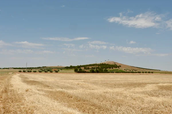 La Mancha, Toledo 'da kurak bir alan, İspanya' nın orta kesimi..