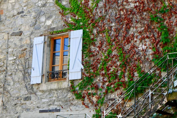 Vintage Fenster Der Steinmauer Mit Trockenem Und Grünem Efeu Der — Stockfoto