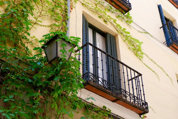 Elegancka Fasada Żywą Zielenią Zabytkowym Balkonem Centrum Madrytu Hiszpania — Zdjęcie stockowe
