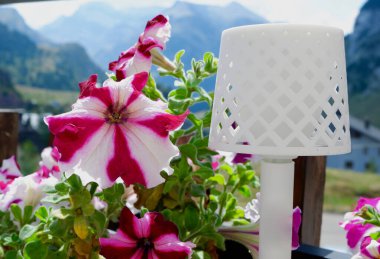 Colourful flowers growing outside on the terrace at summertime in Pyrenees mountains, Candanchu resort, Spain. clipart