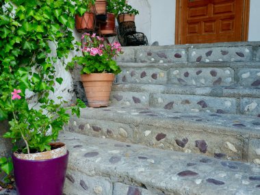 Rustic stone stairs decorated with bright green home plants in Bielsa, Huesca, Spain.