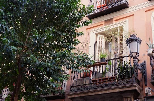 Cozy balcony with house plants in downtown district Barrio de las letras of Madrid, Spain. Vintage urban architecture.