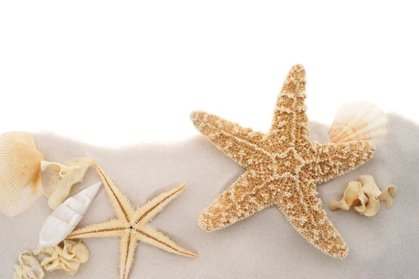 Fronteira com estrelas do mar e conchas — Fotografia de Stock