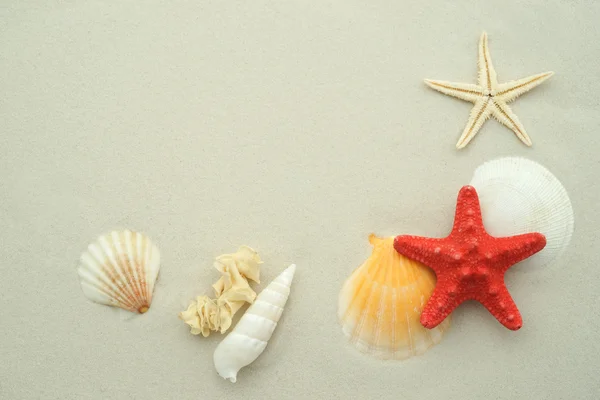 Starfish e areia — Fotografia de Stock