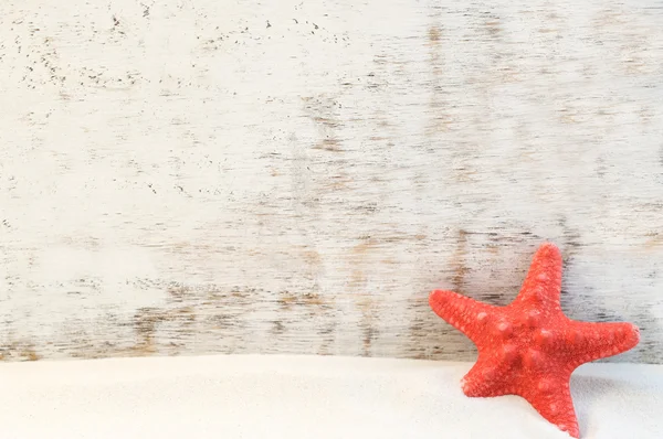 Starfish — Stock Photo, Image