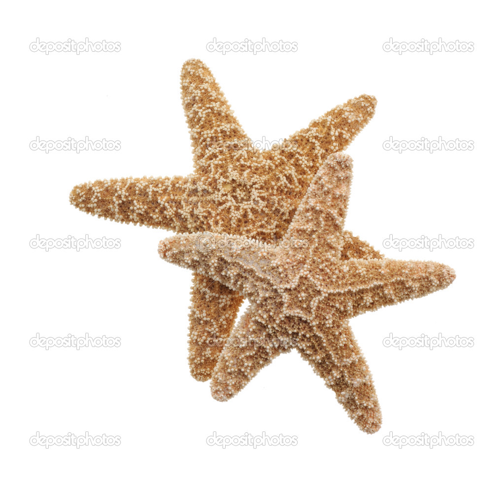 Starfish