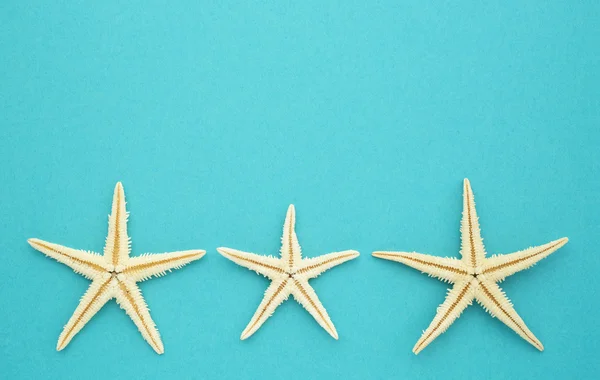 Three starfish — Stock Photo, Image