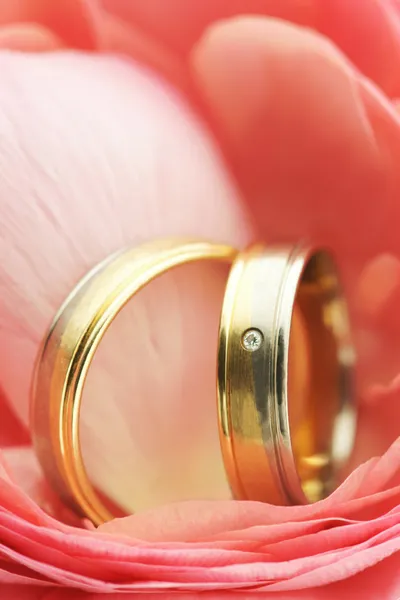 Χρυσά γαμήλια δαχτυλίδια σε ροζ λουλούδι — Φωτογραφία Αρχείου