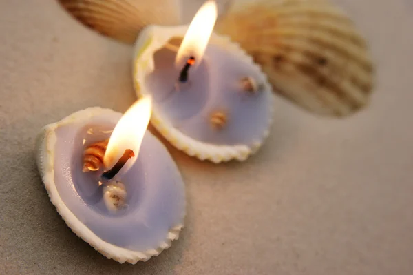 Vela de conchas do mar — Fotografia de Stock