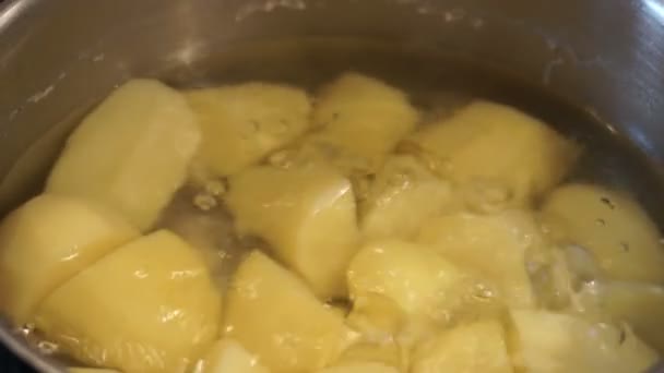 Кипящий картофель — стоковое видео