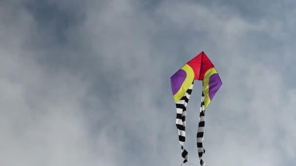 Small kite — Stock Video