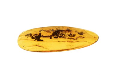 cilalı amber