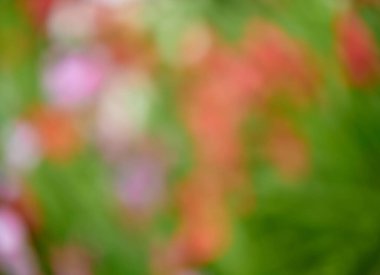 Doğal renklerde odak dışı arkaplan doğadan esinlenilmiş.