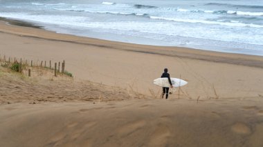 Arka planda okyanusla sörf yapmak için okyanusa yürüyen plakalı bir insan..