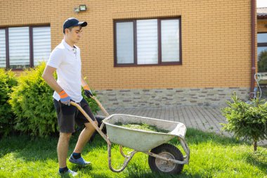 Elinde el arabası dolusu taze kesilmiş çimen olan bir adam. Arka bahçedeki çimleri biçen kişi 