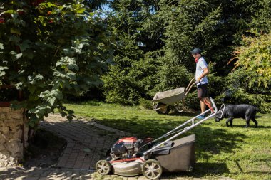 İnsan yeni biçilmiş otlarla el arabası sürer.