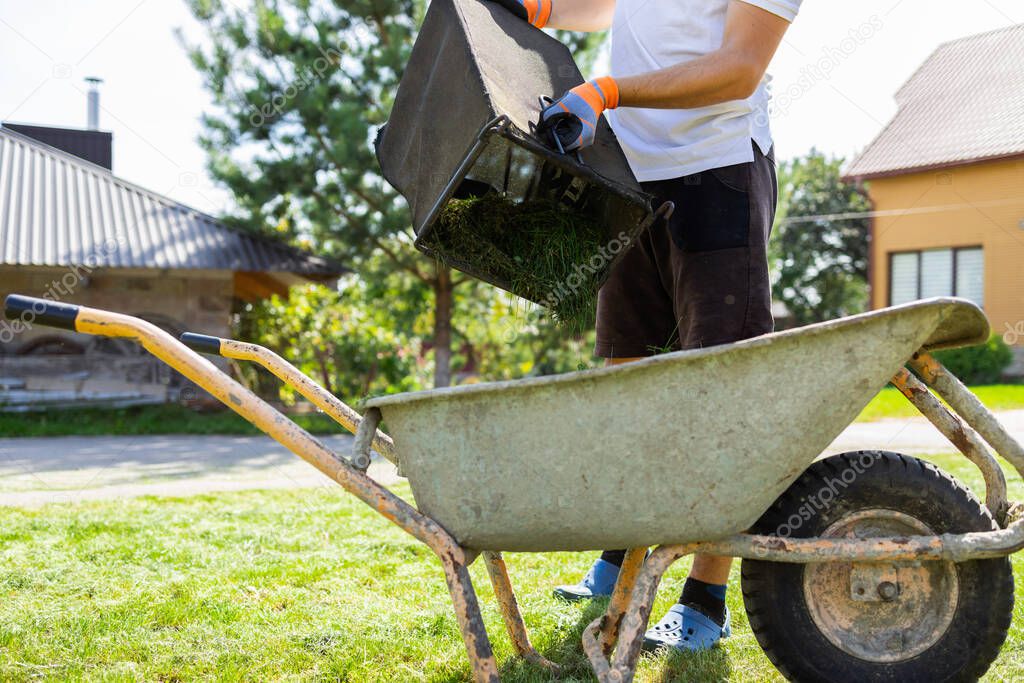 Man unloads mowed grass from a lawn's mower catcher into a wheelbarrow