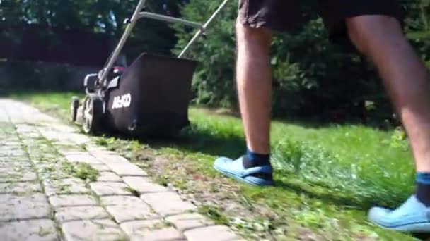 Vista Trasera Hombre Cortando Hierba Con Una Cortadora Césped Gasolina — Vídeos de Stock