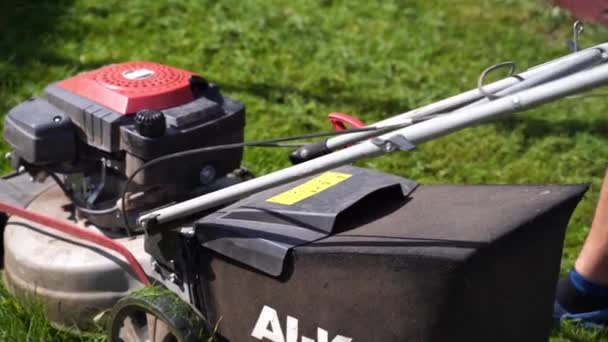 Genç Adam Benzin Çim Biçme Makinesini Çalıştırıyor Arka Bahçedeki Çimleri — Stok video