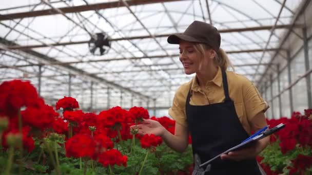 Elinde Bir Pano Olan Sera Işçisi Güzel Bir Çiçeği Kokluyor — Stok video