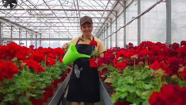 Mooie Volwassen Vrouw Die Bloemen Water Geeft Uit Een Gieter — Stockvideo