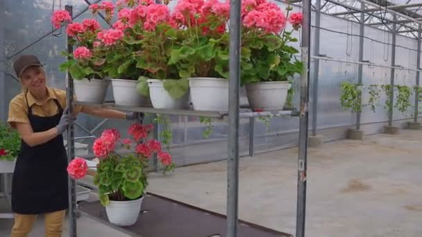 Bahçe Dükkanında Çalışan Mutlu Kadın Çiçekçi Saksı Bitkileriyle Metal Tramvayı — Stok video