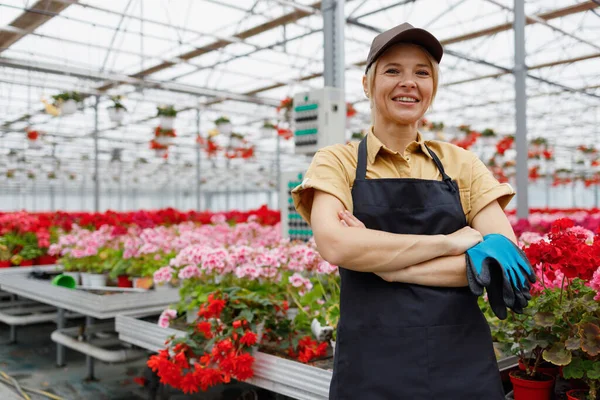 Pretty Female Florist Greenhouse Flowers Grown — Stockfoto
