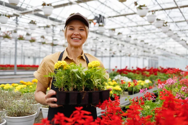 Female Florist Greenhouse Worker Holding Flowers — Stockfoto