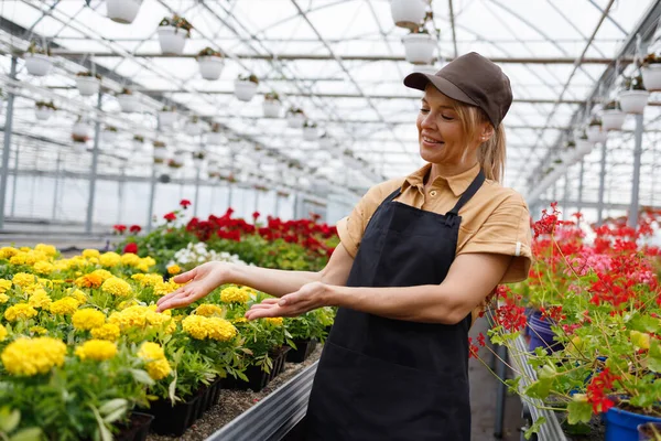 Female Florist Demonstrates Products Flower Greenhouse — Stockfoto