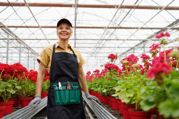 Cheerful Female Florist Greenhouse Gardening Tools Her Belt — Stockfoto