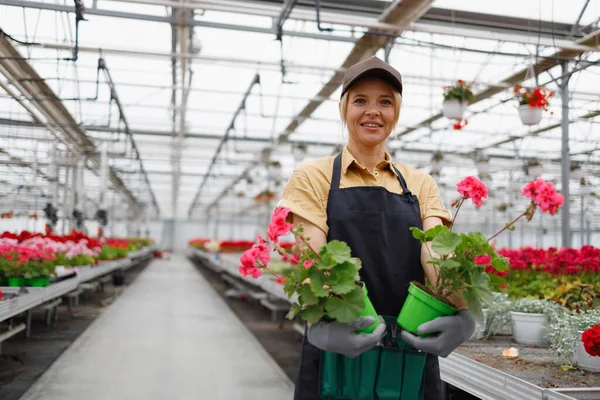 Portrait Woman Apron Cap Flowers Pots Greenhouse — Stockfoto