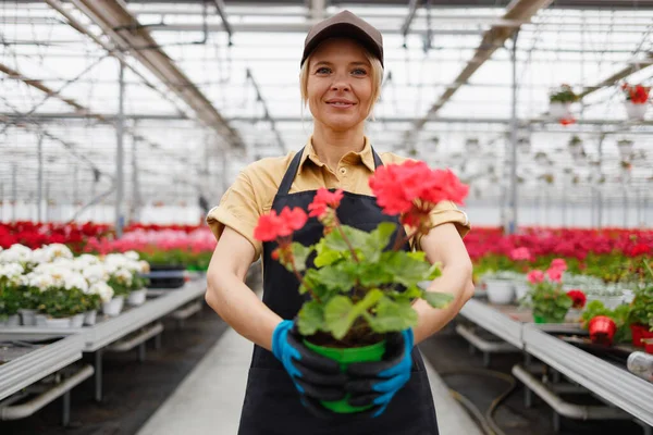 Portrait Pretty Woman Florist Flower Pot Floriculture Business Owner — Stockfoto
