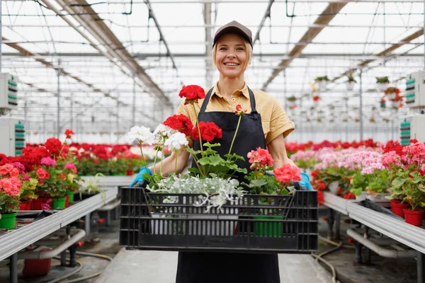Pretty Woman Holding Box Full Flowers Greenhouse — Stockfoto