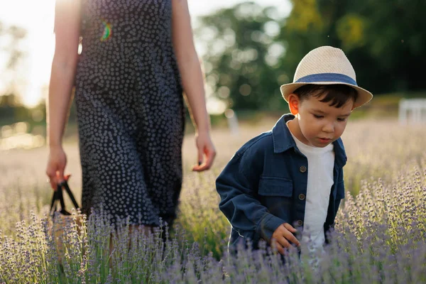 Kleiner Junge Mit Hut Geht Mit Seiner Mutter Ein Lavendelfeld — Stockfoto