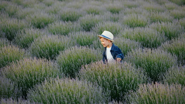 Boy Running Lavender Field — Photo